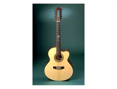 Manzer 12-String Acoustic