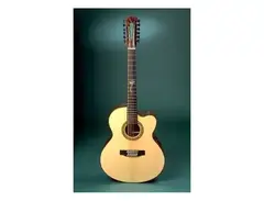 Manzer 12-String Acoustic main image