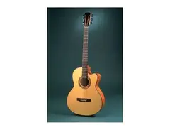 Manzer Baritone Acoustic main image