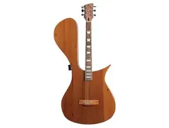 Paul Kinny “Stereo Acoustic” steel-string