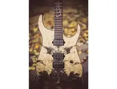 Guitar Clinic - Frame /// main image