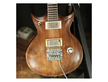 Dunable - Kerry McCoy Custom Guitar