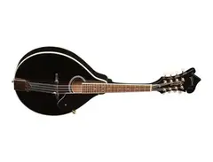 Washburn M1SDL Mandolin main image