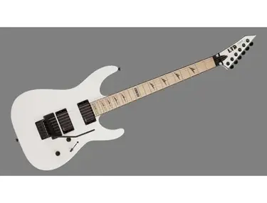 LTD M-1000
