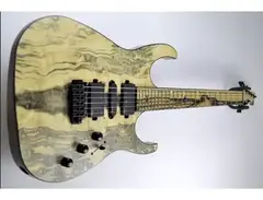 Fast Guitars Orion 6 Electric Guitar
