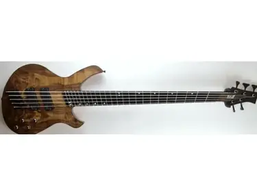 Fast Guitars Intrepid 5 String Bass