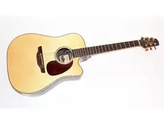 Takamine EAN16C Acoustic Guitar
