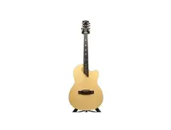 Gibson Chet Atkins SST