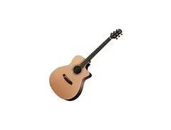 Walden Guitars 3030GCEQ SupraNatura