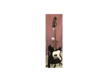 Squier Musicmaster Guitar Vista Series