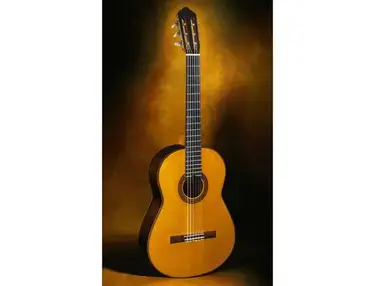 David Rubio Concert Model