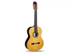 Alhambra Luthier India main image