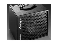 AER cheeky d. 10" speaker