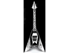 TC Customs Death Magnetic Flying V main image