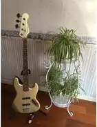 FGN Shimamura Music History TH-BJ4 Custom Bass main image