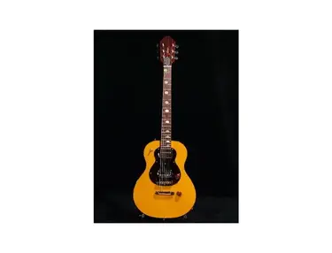 Fano Guitars Andy Partridge signature