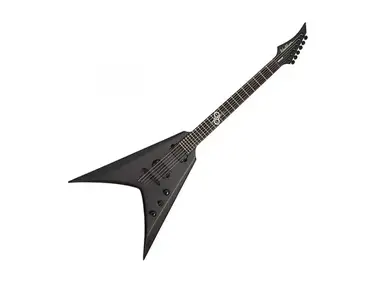 Washburn Solar V 160