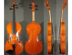Ernst Heinrich Roth Acoustic Violin main image