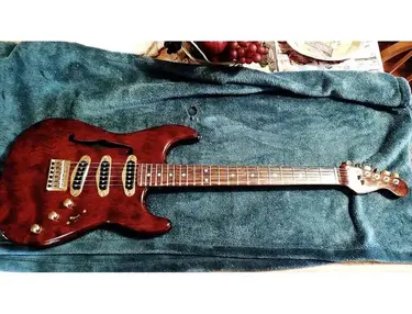 Poynter custom hollow Strat