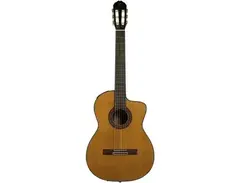 Takamine EC132