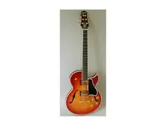 Gibson Custom Pat Martino