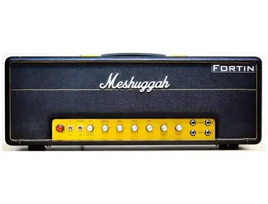 Fortin Meshuggah Signature 50W Amplifier