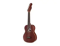 Fender Zuma main image
