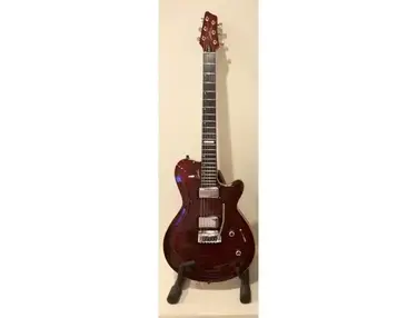 Godin DS-1 Daryl Stuermer Custom