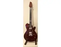 Godin DS-1 Daryl Stuermer Custom