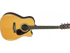 Yamaha FX370C Acoustic main image