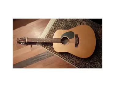 LYS 12-String Acoustic