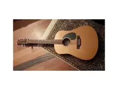 LYS 12-String Acoustic