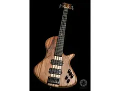 Better Mousetrap Aurora Single-Cut 4-string