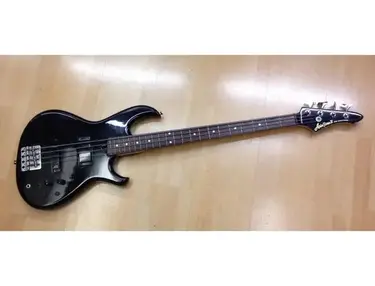 Aria Pro II CSB-450 Cardinal Series - What To Know & Where To Buy