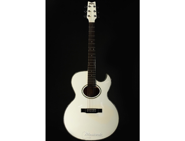 Washburn AE20