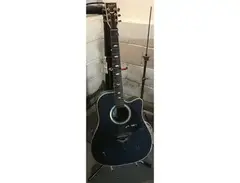 Esteban American Legacy Starlight Limited Edition Acoustic-Electric Guitar main image