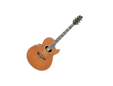 Ibanez Steve Vai Signature EP9 Euphoria Acoustic