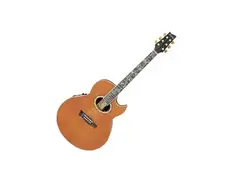 Ibanez Steve Vai Signature EP9 Euphoria Acoustic main image