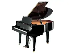 Yamaha C1 main image