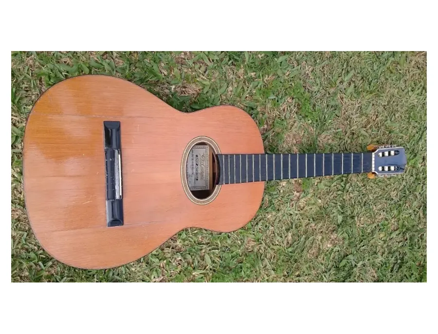 Di Giorgio Tarrega ボサノバギター　1993年製 Di Giorgio Tárrega - What To Know & Where To Buy | Equipboard