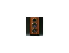 Tannoy Buckingham main image
