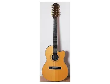 Gibson Chet Atkins SST 12-string