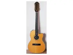 Gibson Chet Atkins SST 12-string
