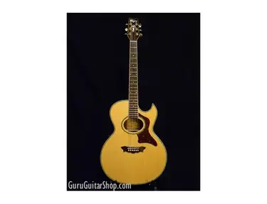 Washburn Gregg Allman Signature Series EA27