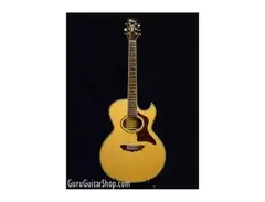 Washburn Gregg Allman Signature Series EA27