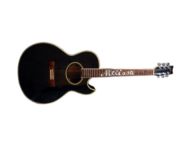 Washburn Gregg Allman Signature Series EA20 "Melissa"