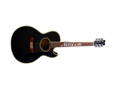 Washburn Gregg Allman Signature Series EA20 "Melissa"