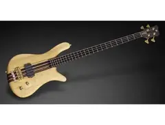 Warwick Streamer Stage 1 Limited 1989 main image