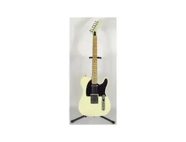 Epiphone T310