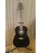Fender DG-16E-12 main image
